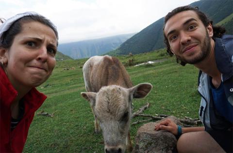Two Servas youth members in a field with a cow